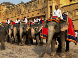Golden Triangle and Ranthambore Tour